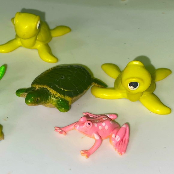 Turtles, Frogs,Birds, Gators, Snakes, Sealife, Horse, Giraffes, Penguin,Hippos, - Picture 10 of 12